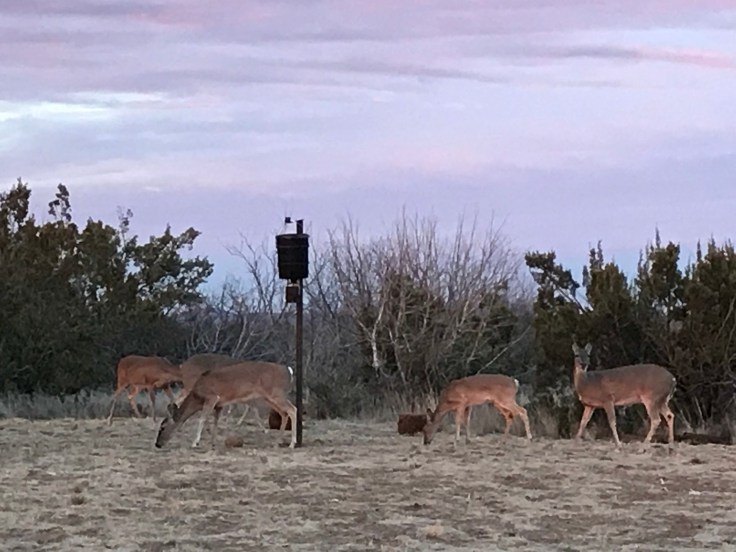 Ultvvp7UT822wE8ZQPPe%A